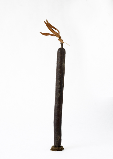 <b>Cant�rida (Lytta Vesicatoria)</b><br>Se trata de la c�lebre mosca espa�ola, referida por autores tan dispares como <i>Gabriel Garc�a M�rquez</i> o <i>Chester Himes</i>. <br>Pero no se equivoquen, e
